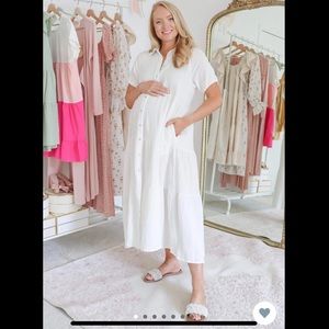 Petal and Pup Wabash Dress
